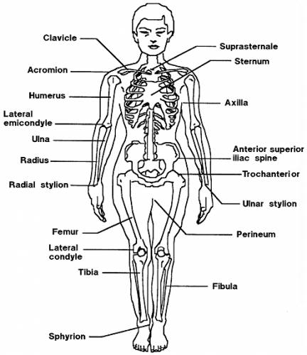 Body Medical Terms Original image dimensions 493 x 570px