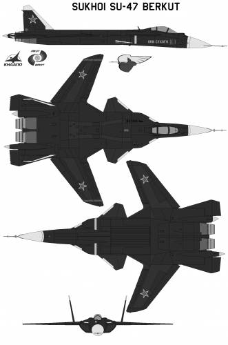 Sukhoi Su47 Berkut Original image dimensions 1737 x 2617px