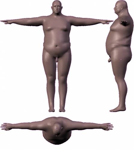 Male - Obese