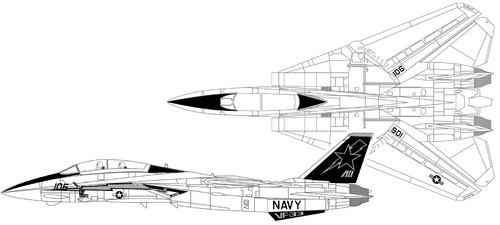 Grumman F-14C Tomcat