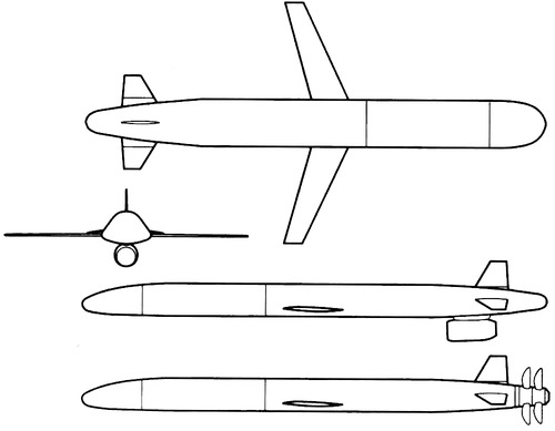 Ch-101 (AS-15 Kent)