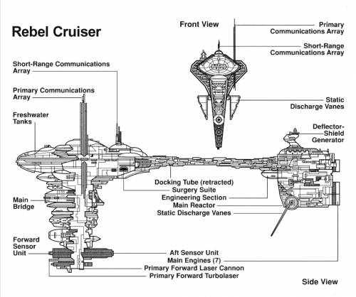 Rebel Cruise