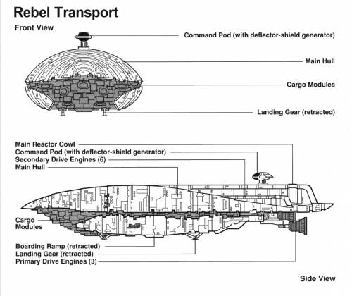 Rebel Transport