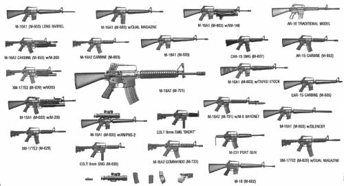 M-16 Assault Rifle Family