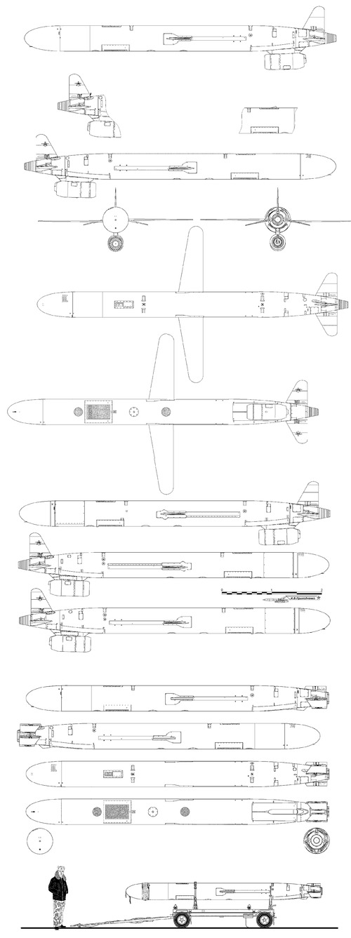 Raduga Kh-55 (AS-15 Kent)