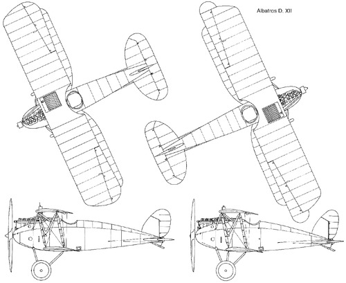 Albatros D.XII