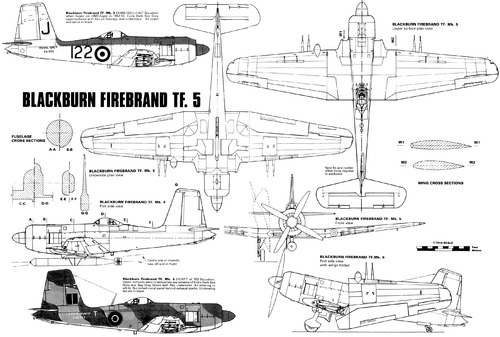 Blackburn Firebrand TF Mk.V