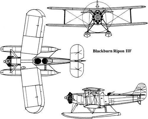 Blackburn Ripon IIF