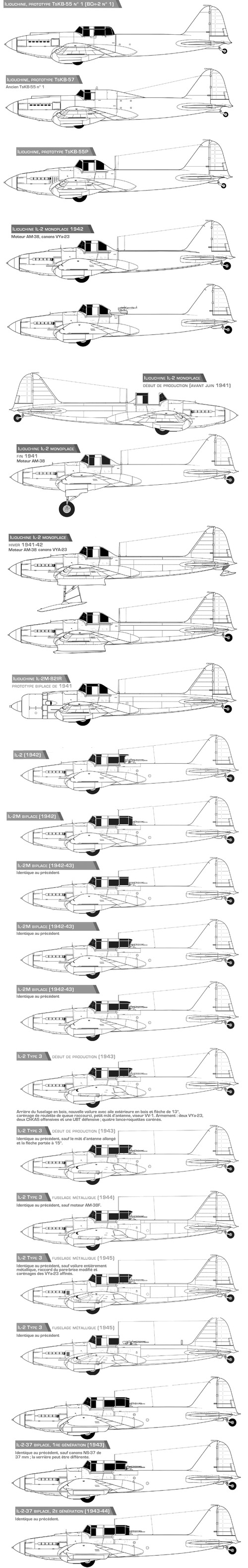 Ilyushin IL-2 Sturmovik