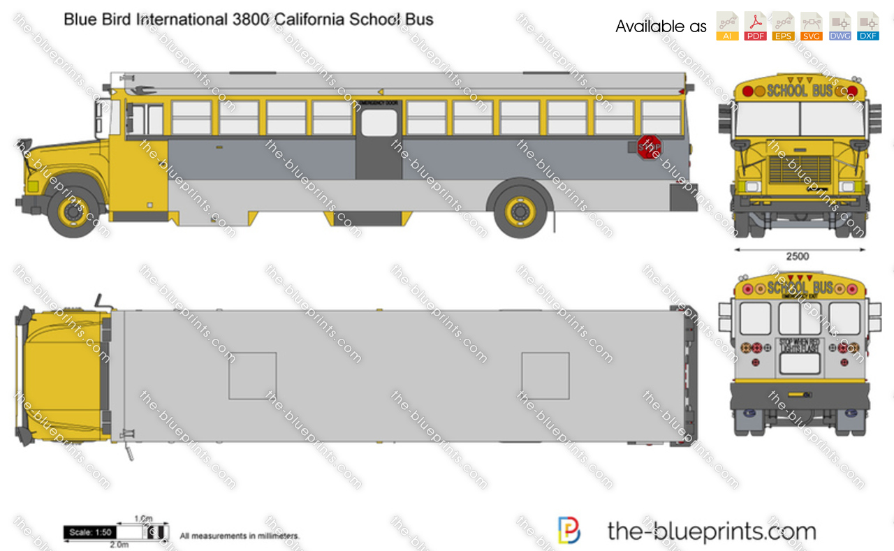 Blue Bird International 3800 California School Bus