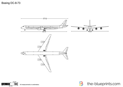 Boeing DC-8-73 (2010)