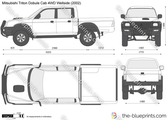 Mitsubishi Triton Double Cab 4WD Wellside