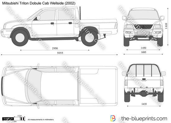 Mitsubishi Triton Double Cab Wellside