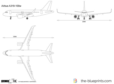 Airbus A319-100w