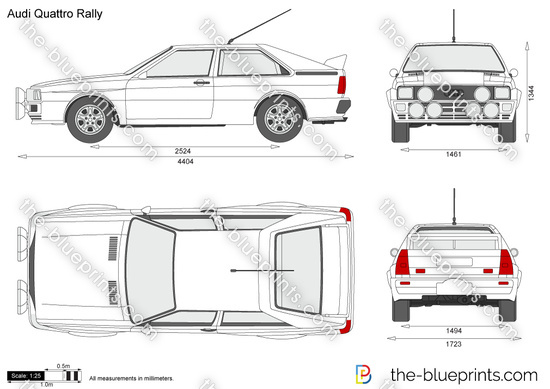 Audi Quattro Rally