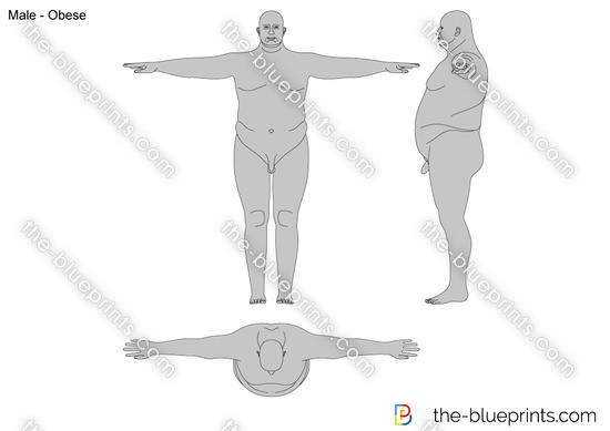 Male - Obese