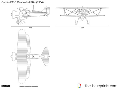 Curtiss F11C Goshawk (USA)