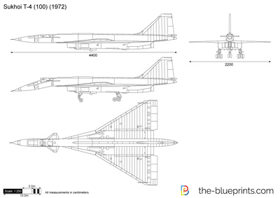 Sukhoi T-4 (100) (1972)