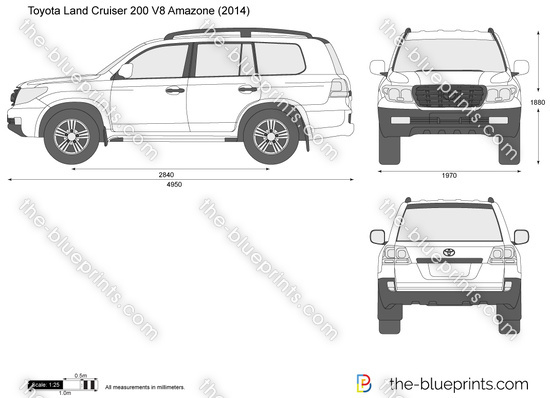 Toyota Land Cruiser 200 V8 Amazone
