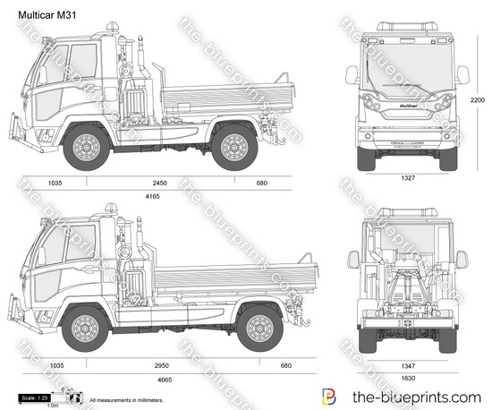 Multicar M31