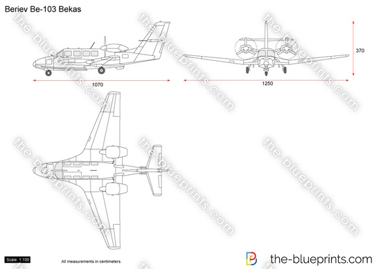 Beriev Be-103 Bekas
