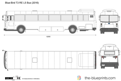 Blue-Bird T3 RE L5 Bus