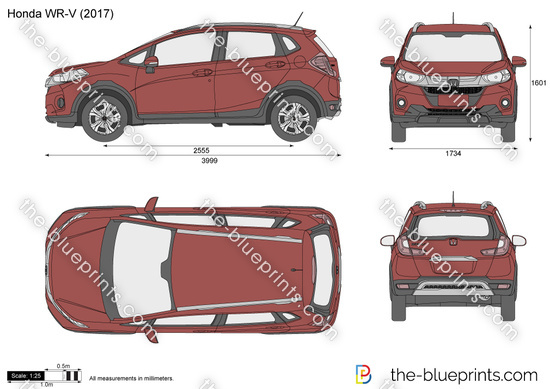 Honda Wr V Vector Drawing