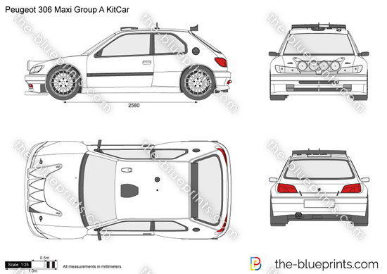 Peugeot 306 Maxi Group A KitCar