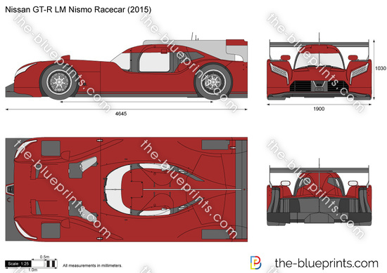 Nissan GT-R LM Nismo Racecar