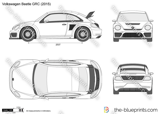 Volkswagen Beetle GRC