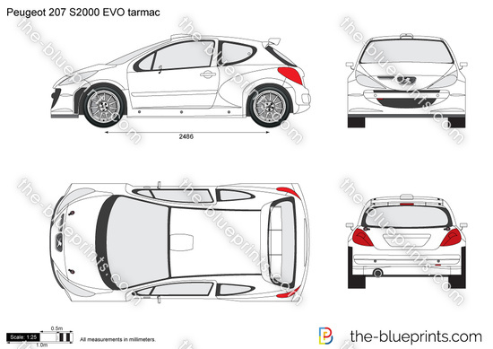 Peugeot 207 S2000 EVO tarmac