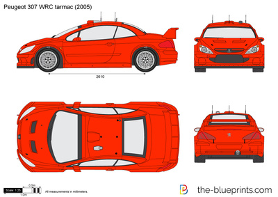 Peugeot 307 WRC tarmac (2005)