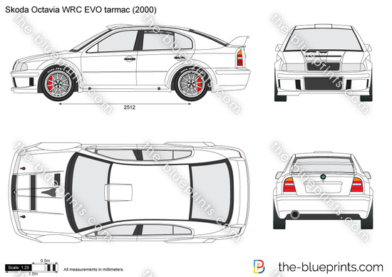 Skoda Octavia WRC EVO tarmac