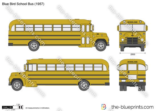 Blue Bird School Bus