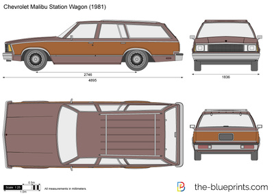 Chevrolet Malibu Station Wagon (1981)