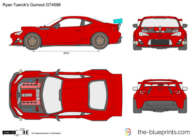 Ryan Tuerck's Gumout GT4586 (2015)