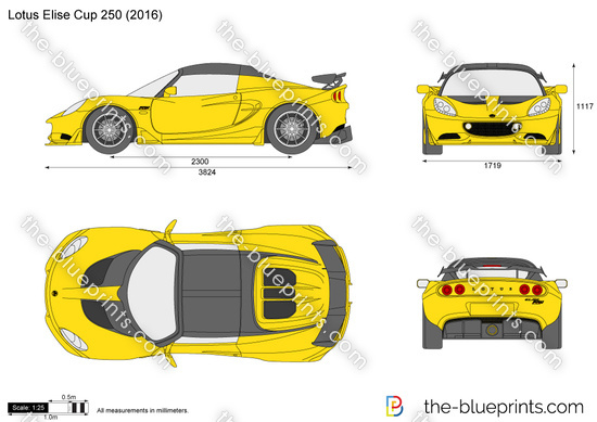 Lotus Elise Cup 250