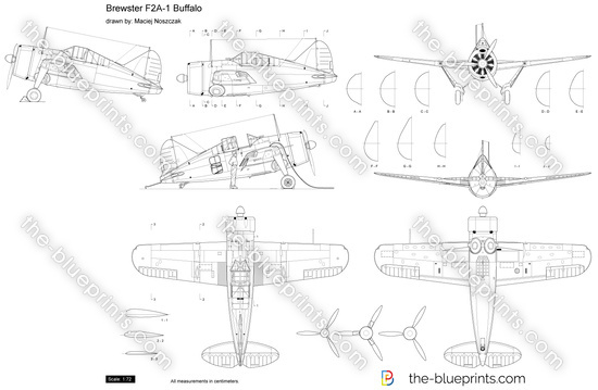 Brewster F2A-1 Buffalo