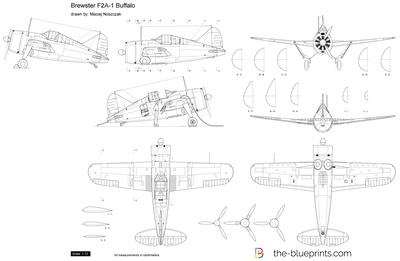 Brewster F2A-1 Buffalo