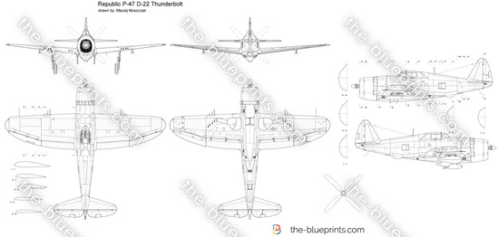 Republic P-47 D-22 Thunderbolt