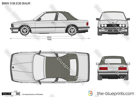 BMW 318i E30 BAUR