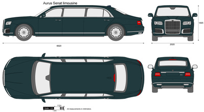 Aurus Senat limousine (2019)