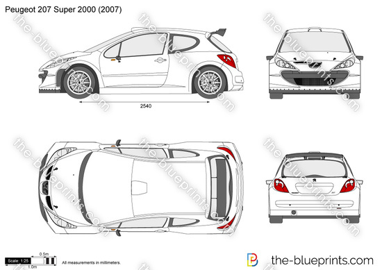 Peugeot 207 Super 2000