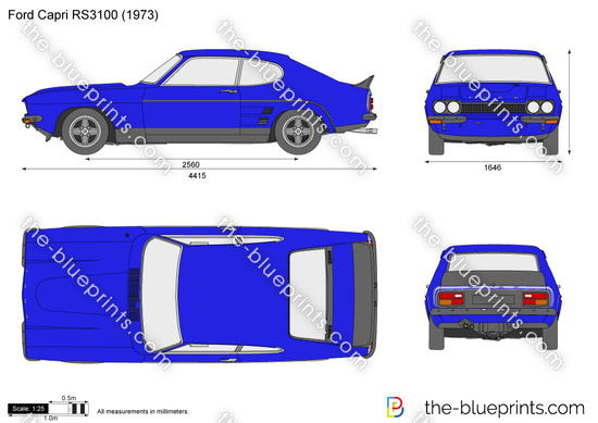 Ford Capri RS3100