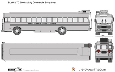 Bluebird TC 2000 Activity Commercial Bus