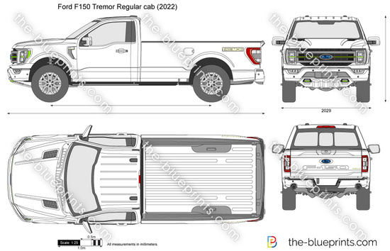 Ford F-150 Tremor Regular cab