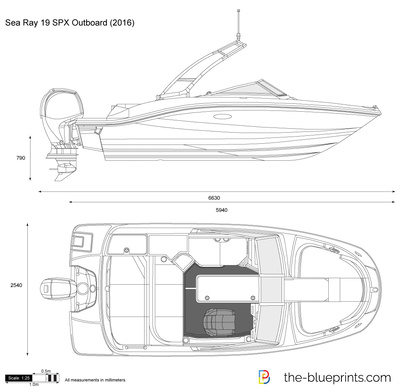 Sea Ray 19 SPX Outboard