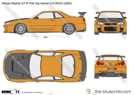 Nissan Skyline GT-R R34 Top Secret G-FORCE