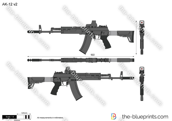 AK-12 v2
