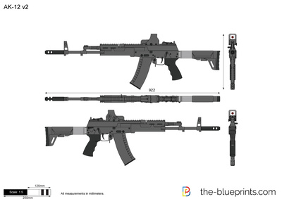 AK-12 v2